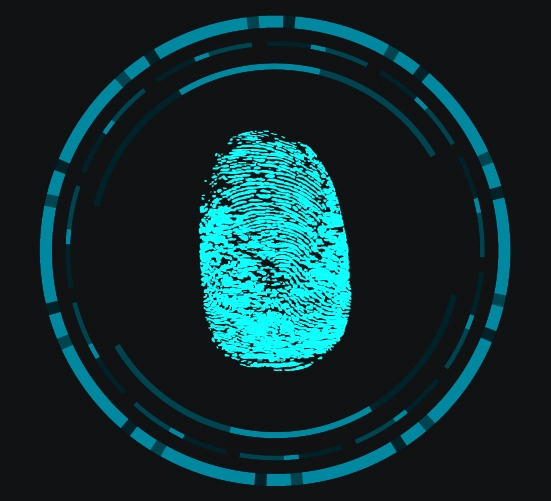 query-identification