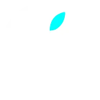ios-app-development